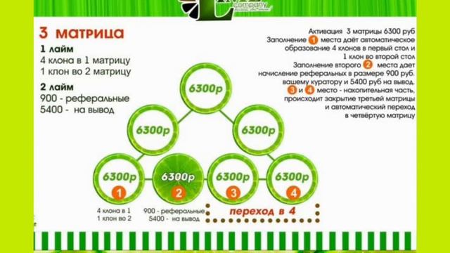 Краткий маркетинг-план Lime company. смотреть онлайн