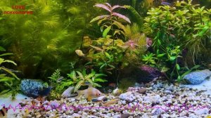 МИХАИЛ ЛАБКОВСКИЙ НОВОЕ 2024 - ЗАПОМНИ ЭТО и НАЧНИ легко новую ЖИЗНЬ?