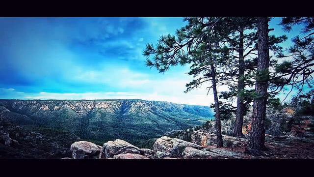 Dreamer смотреть онлайн