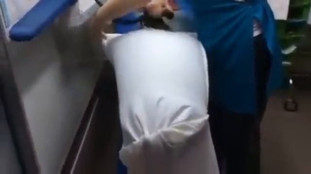 Технология глажки в условиях химчистки смотреть онлайн
