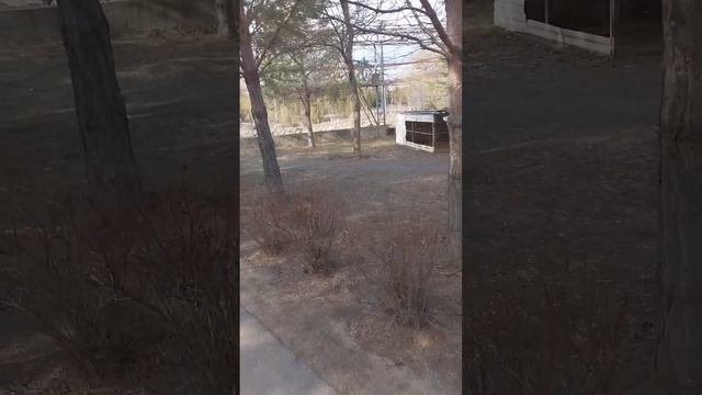 ПАРК ВОСЕМЬ ОЗЕР АЛМАТЫ смотреть онлайн