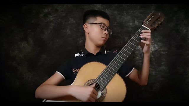 Recuerdos de la Alhambra- Swallow guitar C950 SF смотреть онлайн