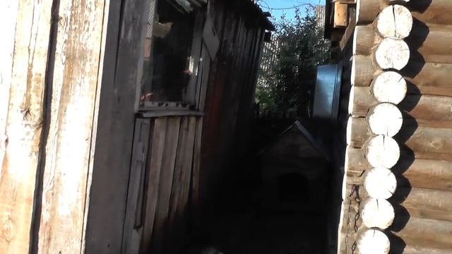 Утро у Барабашей. 05. 08. 2016. Пос. Потеряевка. смотреть онлайн