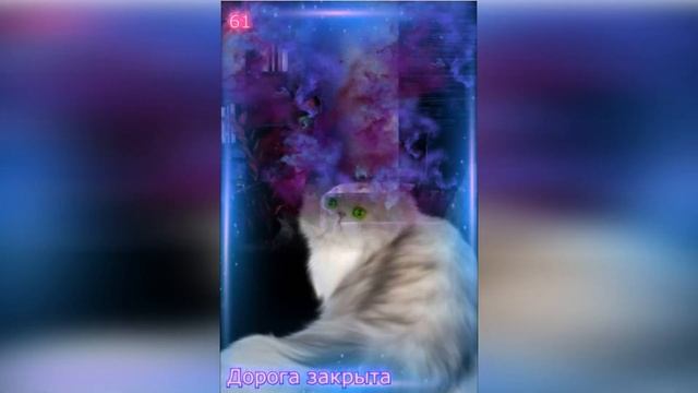 Оракул "Магическая кошка" смотреть онлайн
