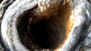 Дикий мёд в Уральских горах (Wild Honey from The Urals)