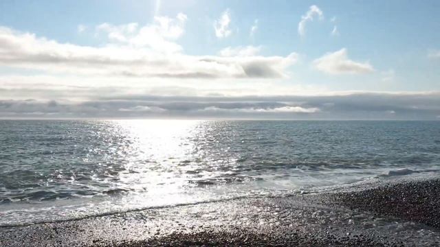 Пляж Морская Звезда. Лазаревское. Дети кормят собачку. Ремонт кафе. Подготовка к сезону. Апрель 202 смотреть онлайн