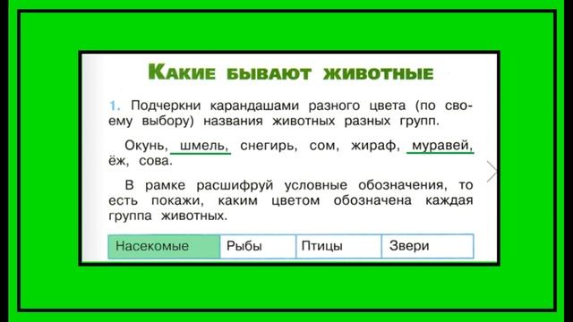 Какие бывают животные 1 задание. Окружающий мир 2 класс рабочая тетрадь. Группы животных смотреть онлайн