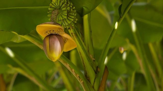 Музыка для Души / Расслабляющая Музыка для Сна / Релакс Музыка / Relax Music & Gray #21 смотреть онлайн