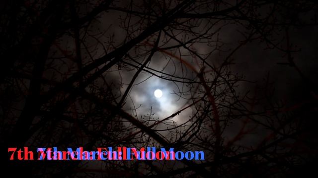 March Witchcraft || All the Witchy Traditions, Rites and Rituals for your daily Witch practice. смотреть онлайн