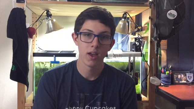 HOW TO: Buy Aquarium Plants Online! || US Aquatic Plants Vendors || Finally Fish Friday 001 смотреть онлайн