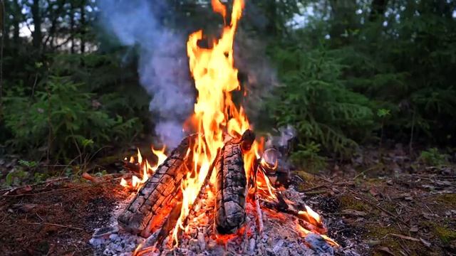 ? Cozy Campfire in the Forest (10 HOURS). Autumn Campfire with Crackling Fire Sounds смотреть онлайн