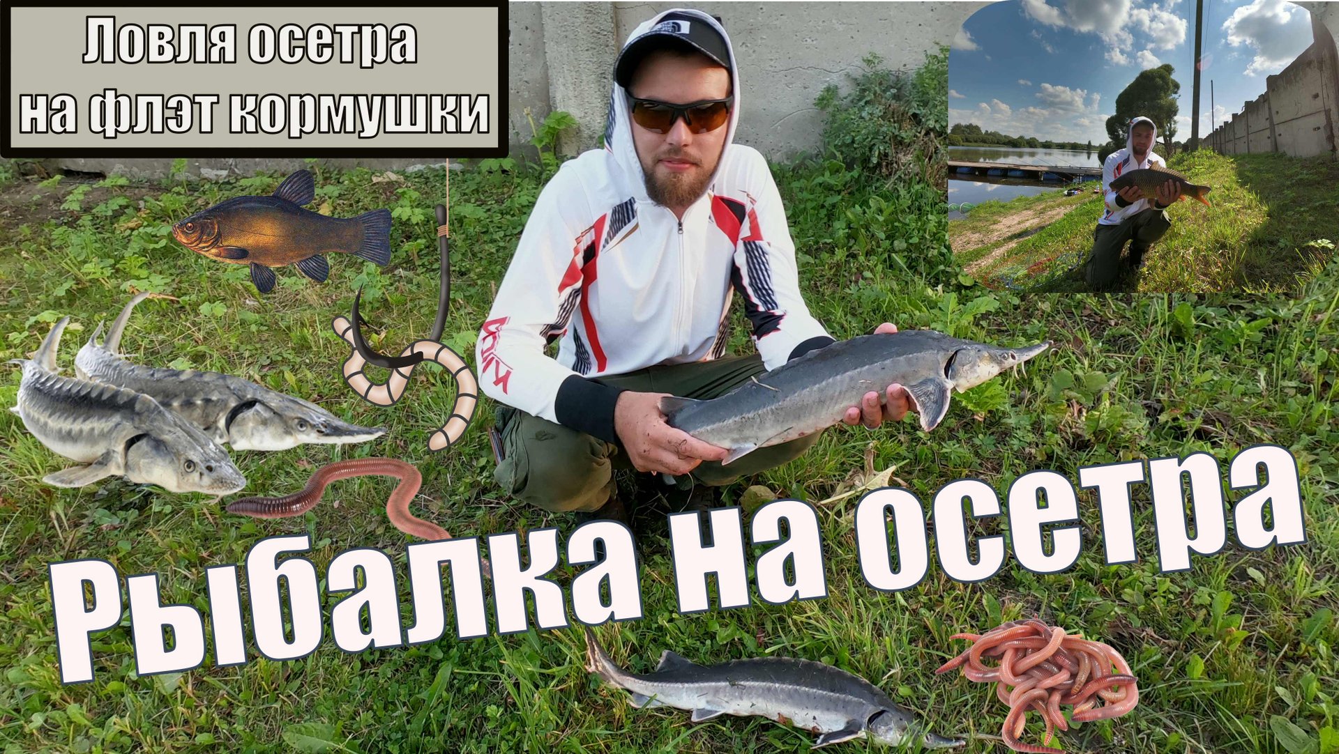 Осетр в Московской области. Рыбалка на осетра. смотреть онлайн