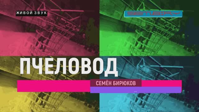 ПЧЕЛОВОД. Семён Бирюков. Исполнение песни. Живой звук смотреть онлайн
