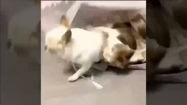 67.mp4 смотреть онлайн