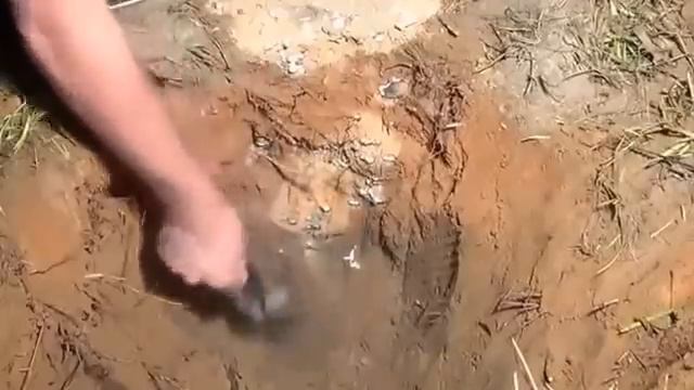 Что будет если залить свинец в муравейник смотреть онлайн