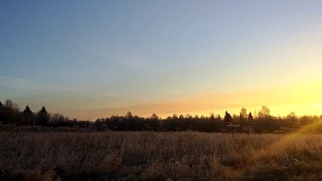 21.10.2015. Утро. Выбросы Северстали #2 смотреть онлайн