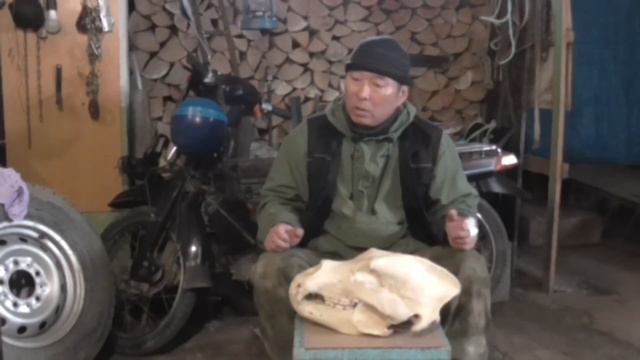 Трофей Дамира с охоты на медведя ( рассказ) 2022г. смотреть онлайн