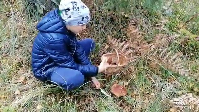 Андриан и Боровик1 смотреть онлайн