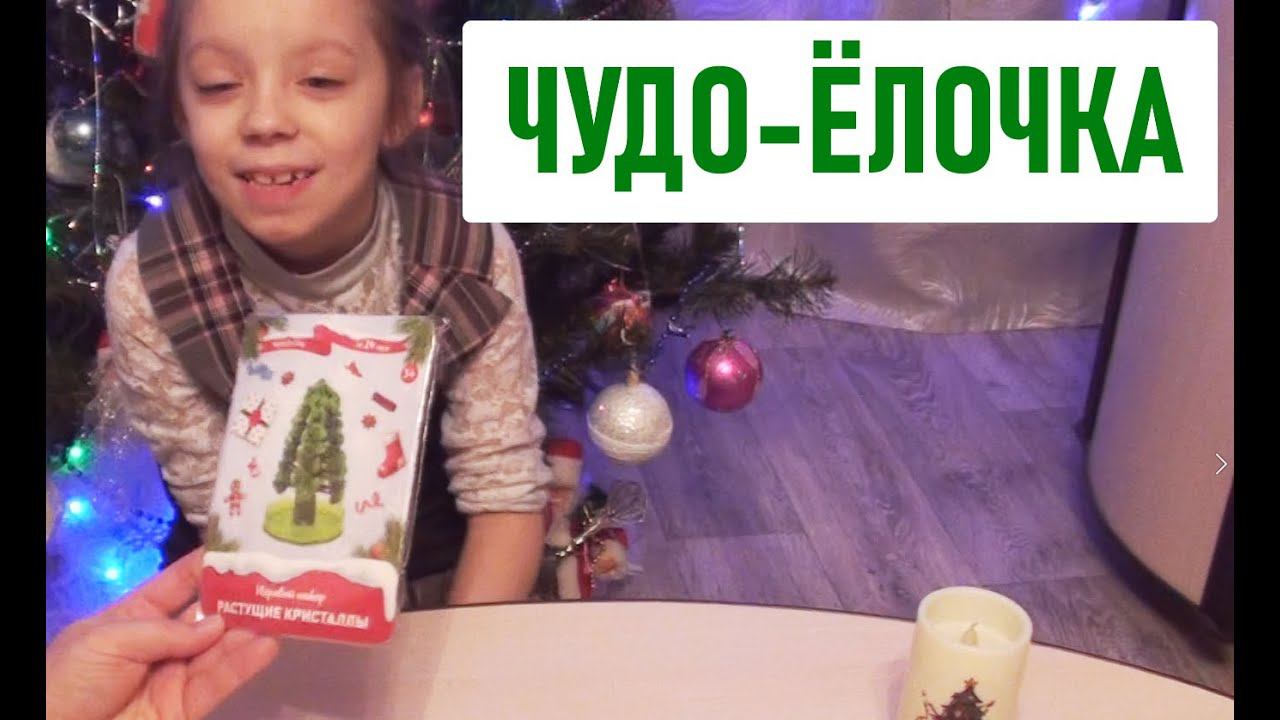 ЧУДО-ЁЛОЧКА! СО СТАРЫМ НОВЫМ ГОДОМ!!!