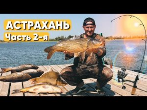 ВОТ ЭТО РЫБАЛКА. АСТРАХАНЬ, РАСКАТЫ.