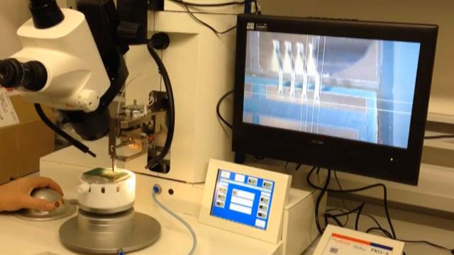 HB30 with Cross Hair at TFT смотреть онлайн