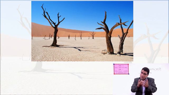 28. Class 6 । Science । Unit 4 । Biodiversity and Environment Forest ecosystem । смотреть онлайн