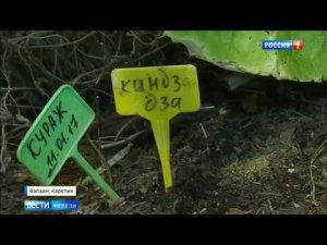 Карелия, Валаам - Вести недели с Дмитрием Киселевым (17.12.17)