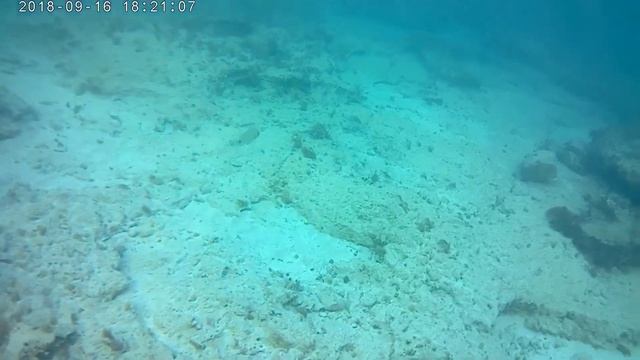 Подводное царство Кипра смотреть онлайн