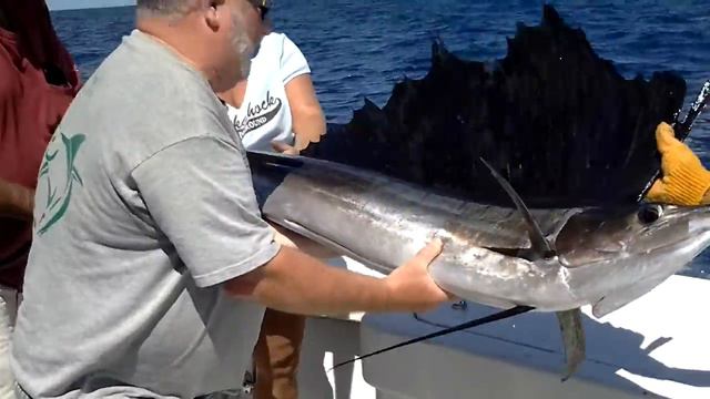 Fishing in Isla Mujeres aboard The Country Girl смотреть онлайн