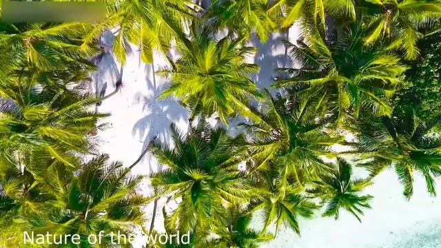 Музыка для сна и релакса. Расслабляющая музыка и природа. смотреть онлайн