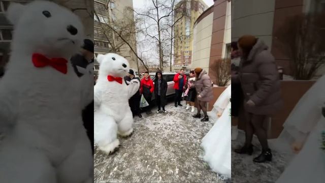Белый мишка . Поздравление . Свадьба смотреть онлайн