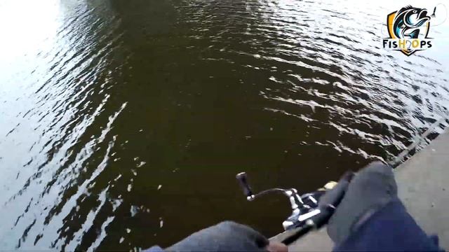 Рыбалка на ультралайт спиннинг с берега осенью |  Streetfishing | Микроджиг