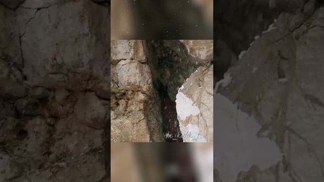 Лесной олень?❤
Склифосовский 11 (в кадре и за кадром) Мария Куликова и Максим Аверин смотреть онлайн