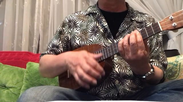 The Turtles / Happy Together / Ukulele смотреть онлайн