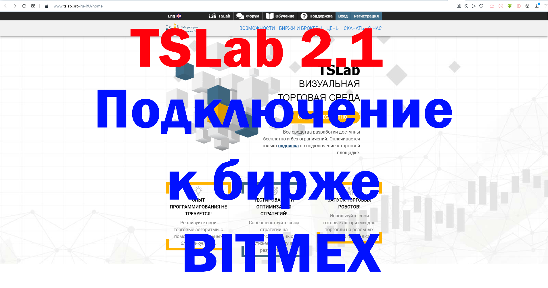 TSLAB. ПОДКЛЮЧАЕМ БЕСПЛАТНО К КРИПТОВАЛЮТНОЙ БИРЖЕ BitMEX смотреть онлайн