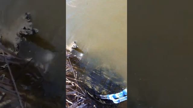 9апреля озеро "кучки"2022год смотреть онлайн