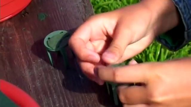 Мастер-класс: ваза из фруктов, фруктовая ваза