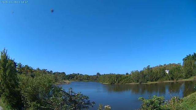 Cloud Camera 2019-11-10: Everglades Wetland Research Park смотреть онлайн