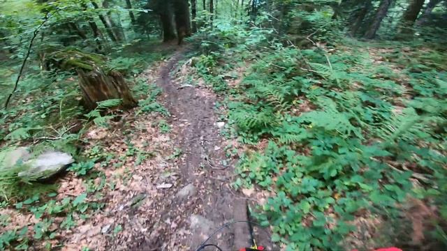 Черничная тропа, Красная поляна, продолжение 1. смотреть онлайн