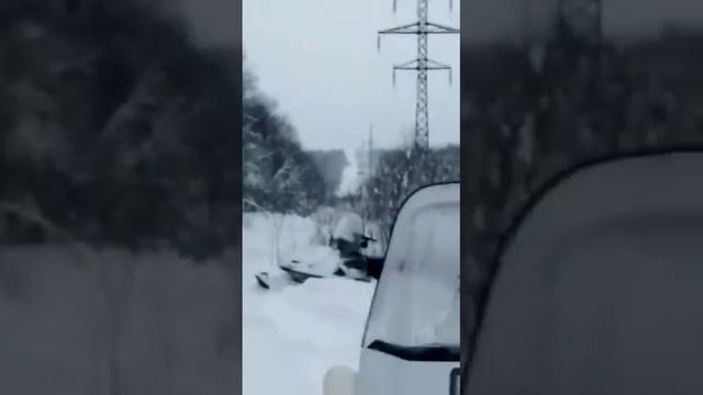Лошадь зимой смотреть онлайн