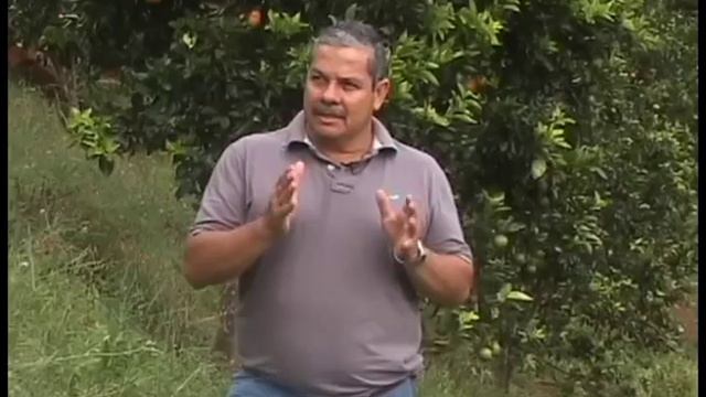Producción de Cítricos en terrenos de alta pendiente en la Región Central Sur de Costa Rica смотреть онлайн