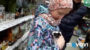 Мы покупаем морскую свинку!!!!!!!!!!!!!