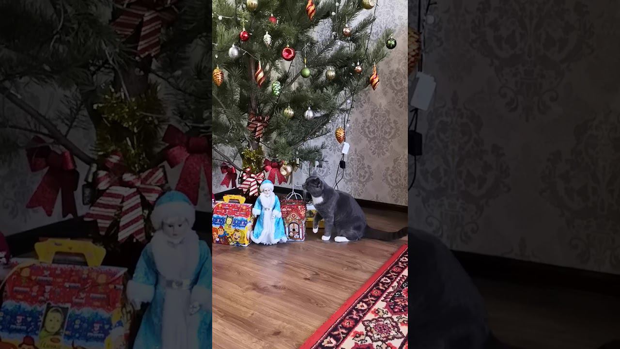 Новый год 2021г.Наш шкодливый Морти)))))).