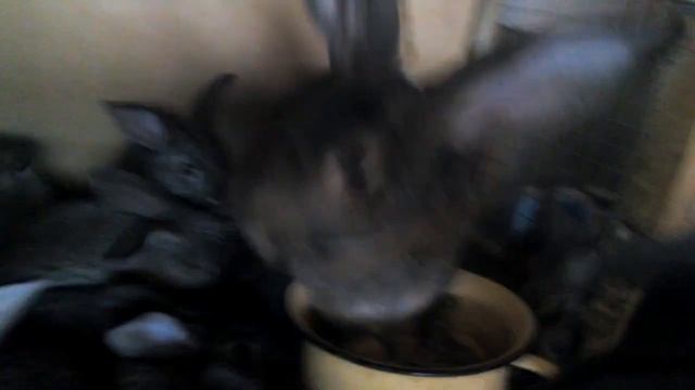 Серый великан смотреть онлайн