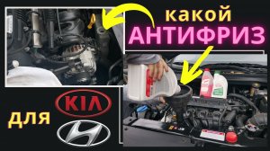 Какой и сколько антифриза доливать в Kia Rio X/Sportage/Seltos, Hyundai Solaris/Elantra/Sonata