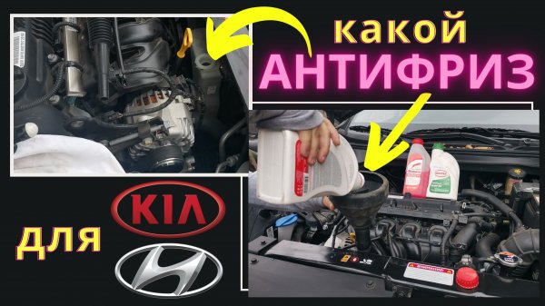 Какой и сколько антифриза доливать в Kia Rio X/Sportage/Seltos, Hyundai Solaris/Elantra/Sonata