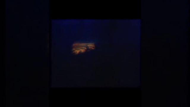 Цой "Кончиться лето" В память актëра/музыканта смотреть онлайн
