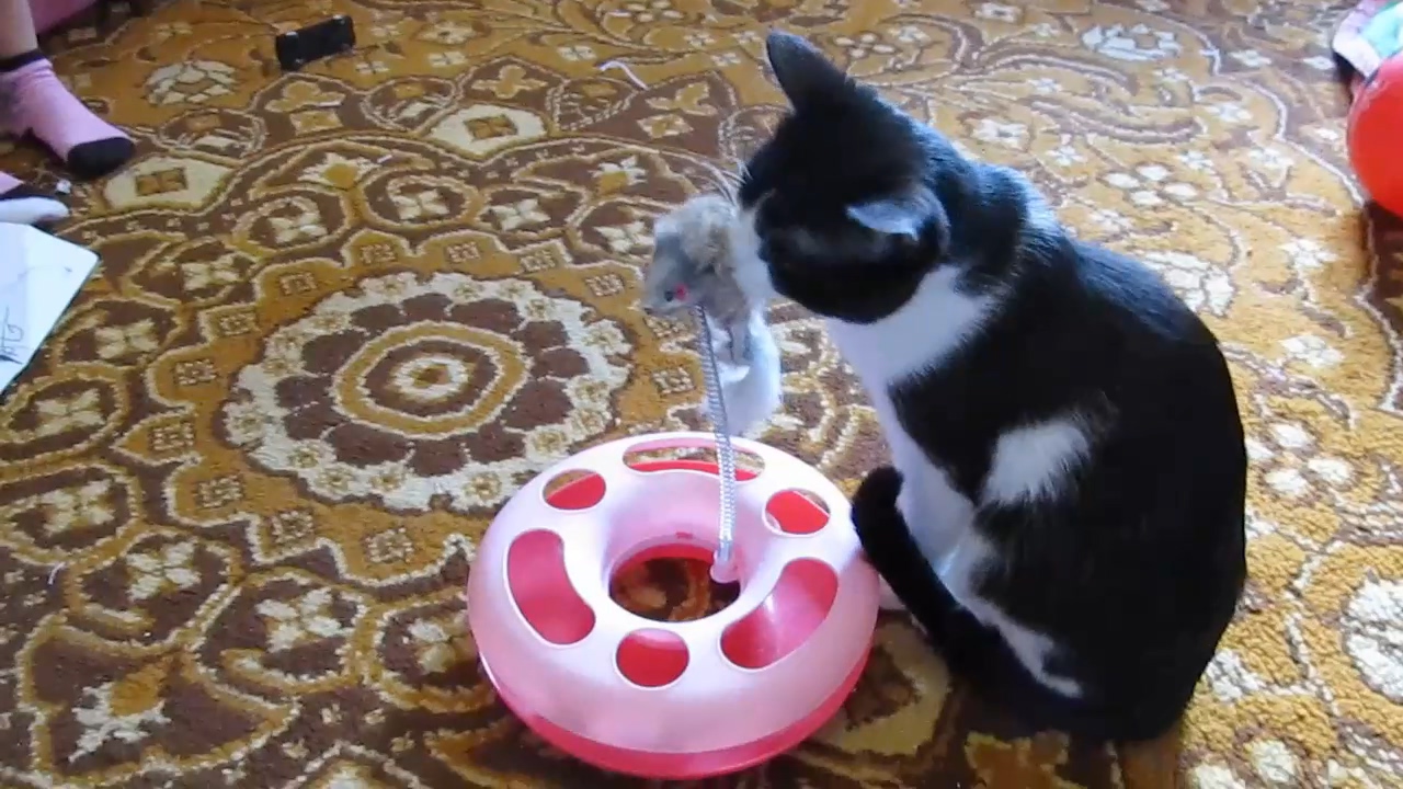 Игрушка для котов и кошек из Banggood