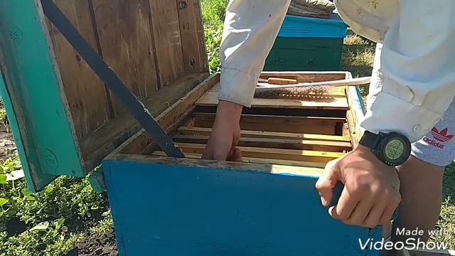 Качаем мед с подсолнуха часть (2) смотреть онлайн