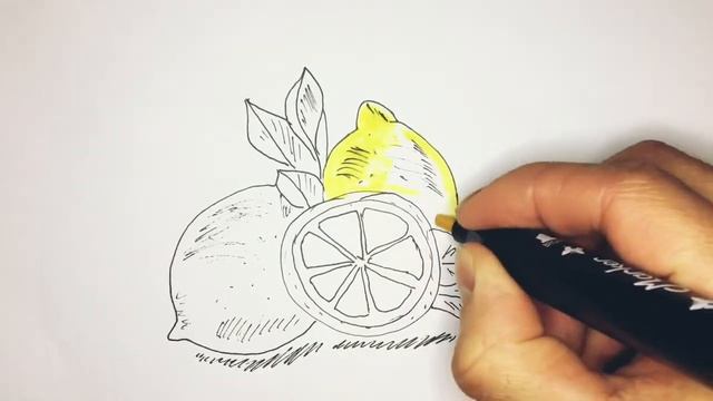 Как нарисовать лимон - How to draw a lemon смотреть онлайн
